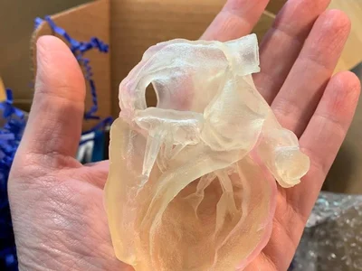 Corazon impreso en 3D