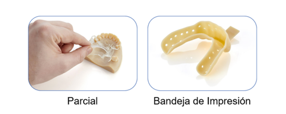 Modelos dentales removibles impresos en 3D